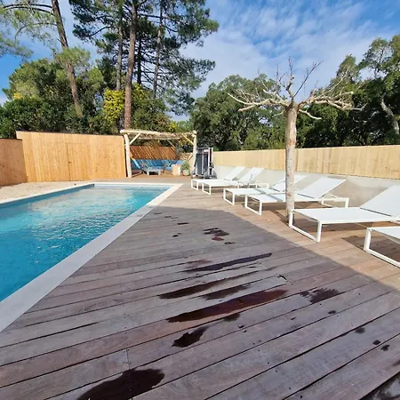 L'abri Cotier On St Cyprien Lecci