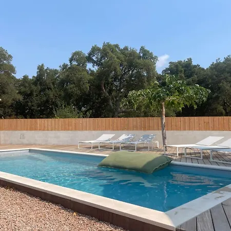 L'abri Cotier On St Cyprien * Lecci