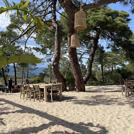 L'abri Cotier On St Cyprien * Lecci