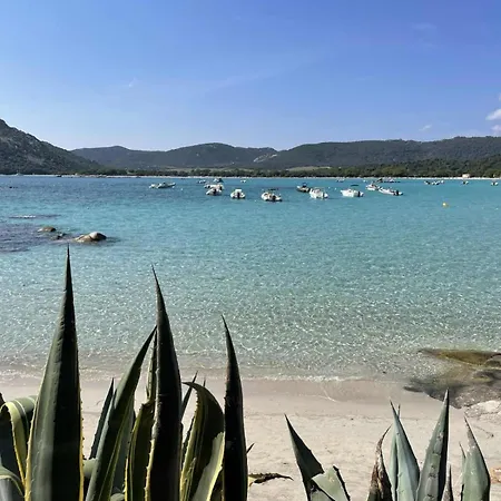 L'abri Cotier On St Cyprien Lecci