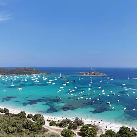 L'abri Cotier On St Cyprien * Lecci