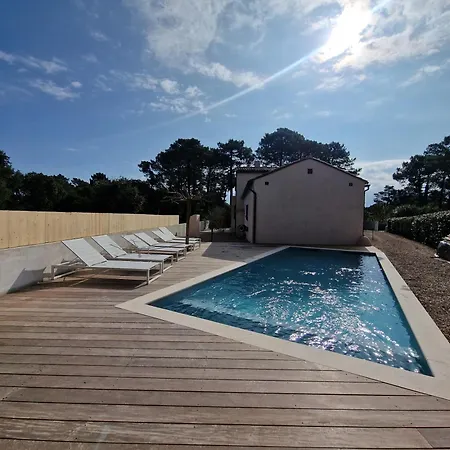 L'abri Cotier On St Cyprien Lecci