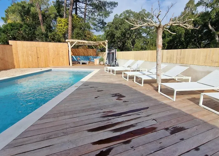 L'abri Cotier On St Cyprien レクシ