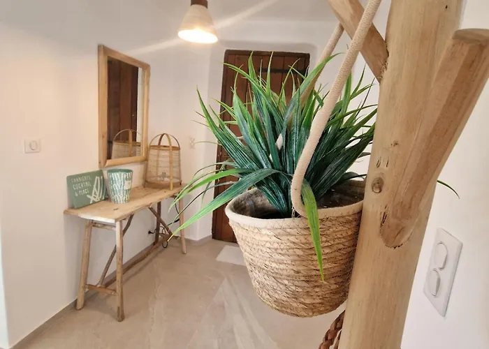 L'abri Cotier On St Cyprien *