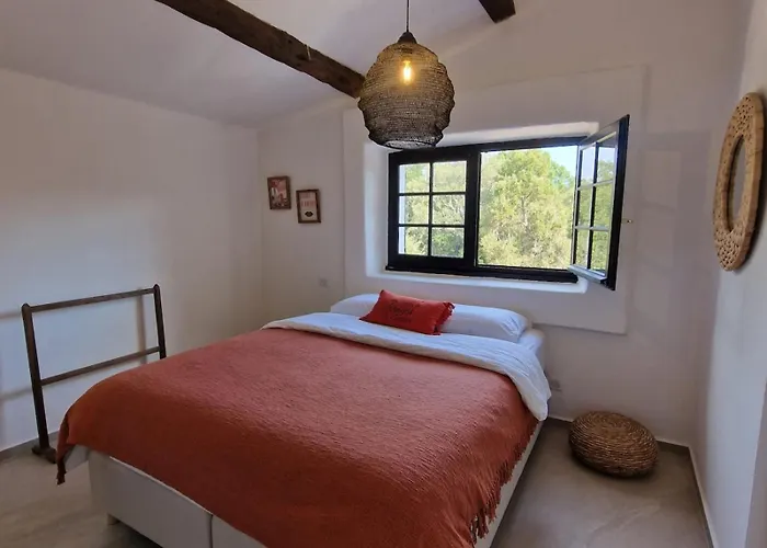 L'abri Cotier On St Cyprien Lecci